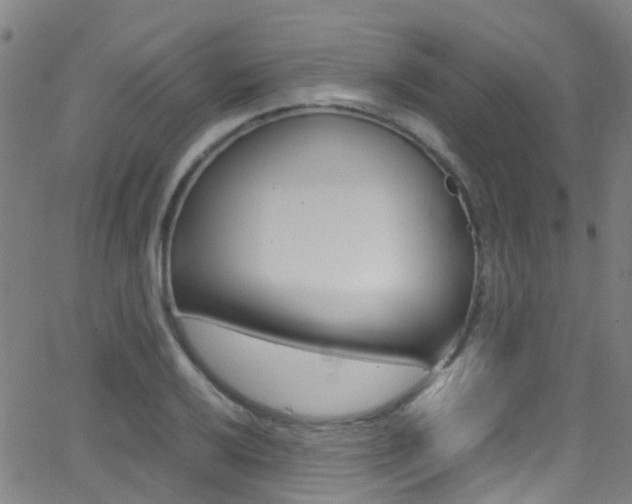 X0000062881032200601131031