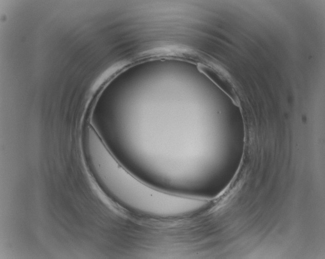 X0000062881034200601131031
