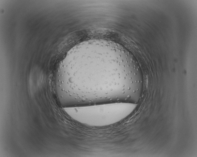 X0000062881059200601131031