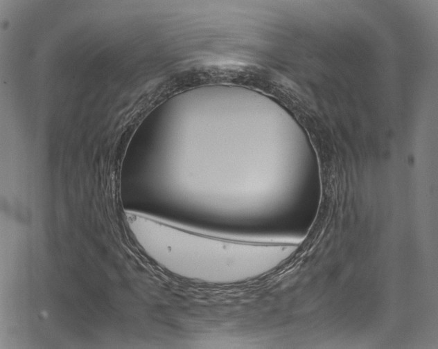 X0000062881061200601131031