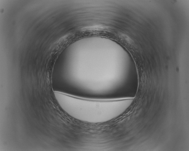 X0000062881062200601131031