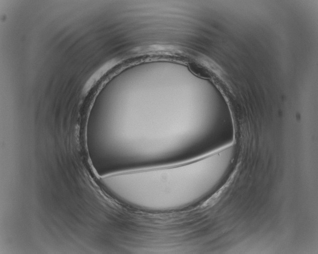 X0000062881066200601131031