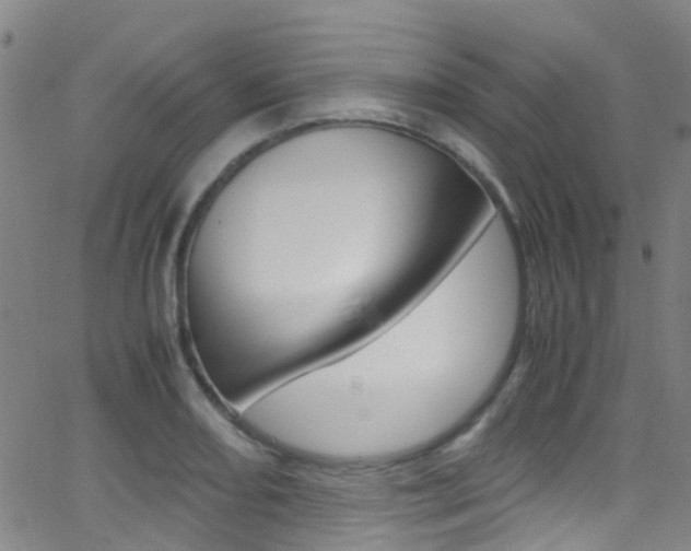 X0000062881082200601131030