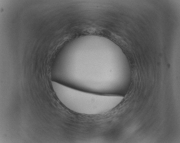 X0000062881105200601131029