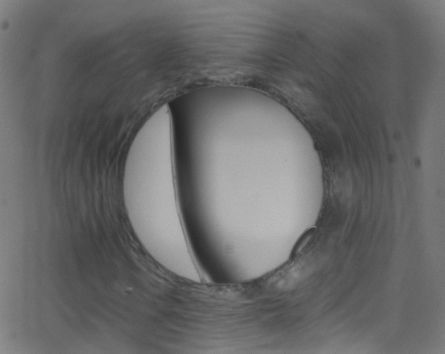 X0000062881106200601131029