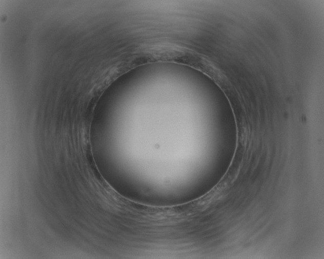 X0000062881108200601131029
