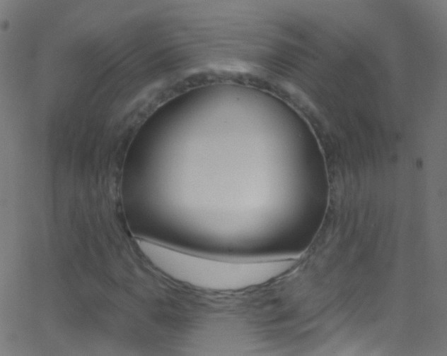 X0000062881110200601131029