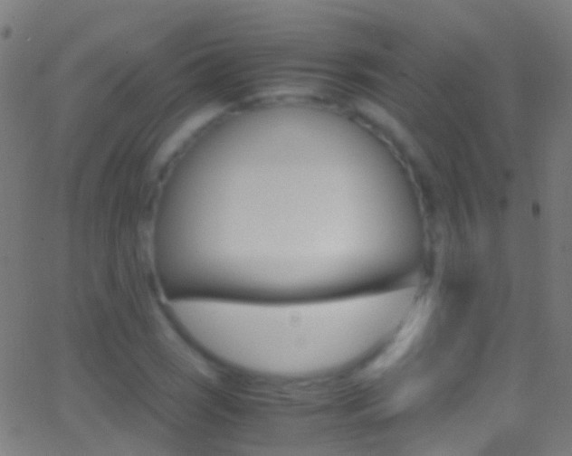 X0000062881121200601131030