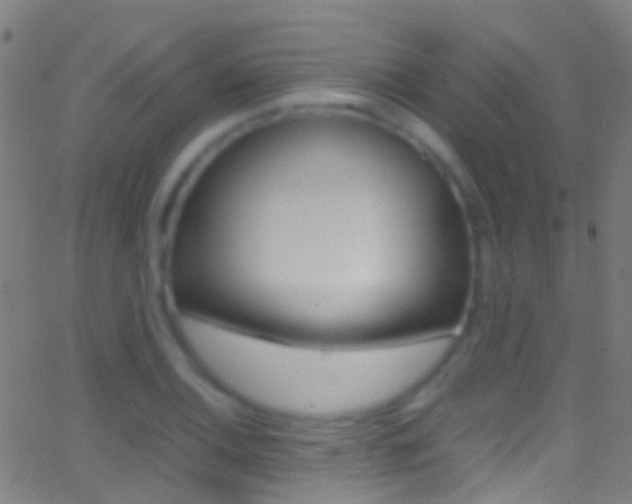 X0000062881124200601131030
