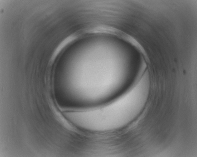 X0000062881138200601131030