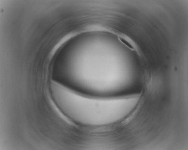 X0000062881142200601131030
