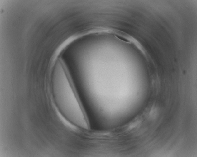 X0000062881143200601131030