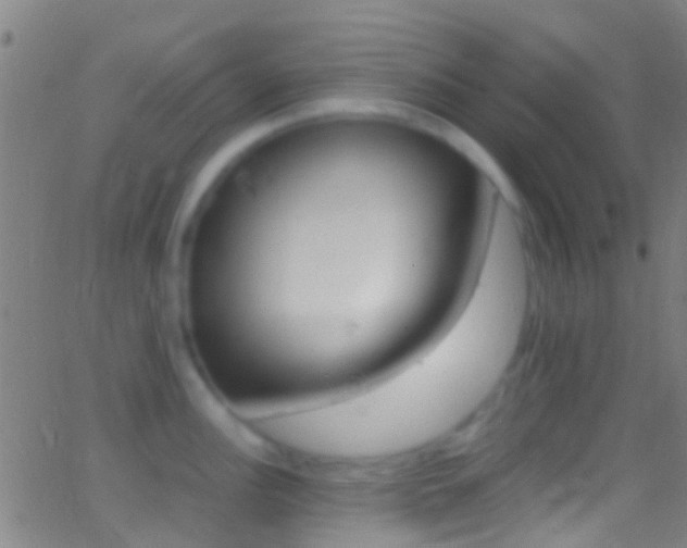 X0000062881148200601131030