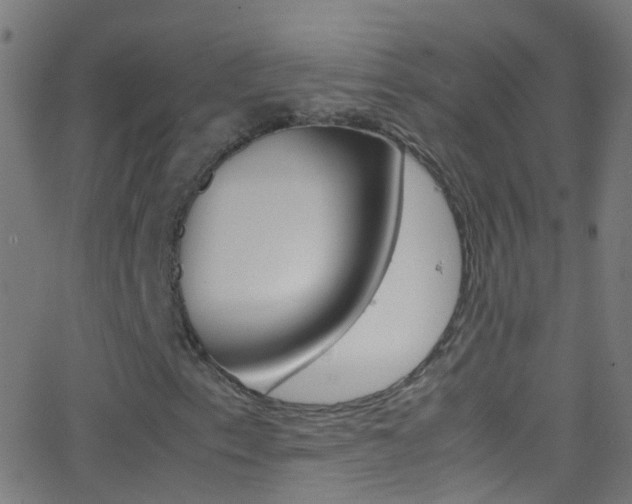 X0000062881153200601131029