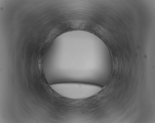 X0000062881154200601131029