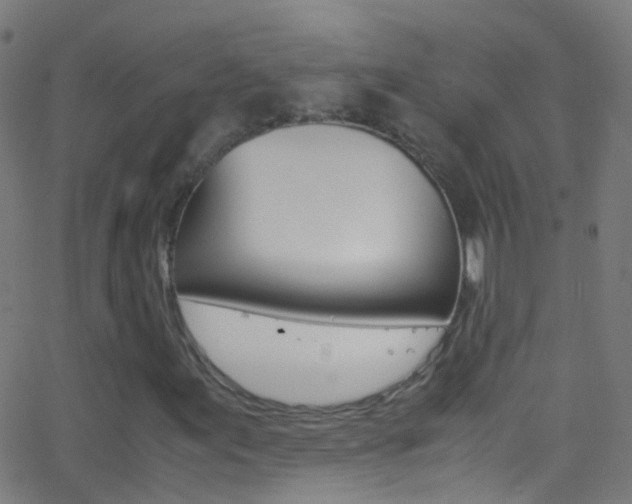 X0000062881155200601131029