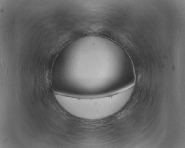 X0000062881156200601131029