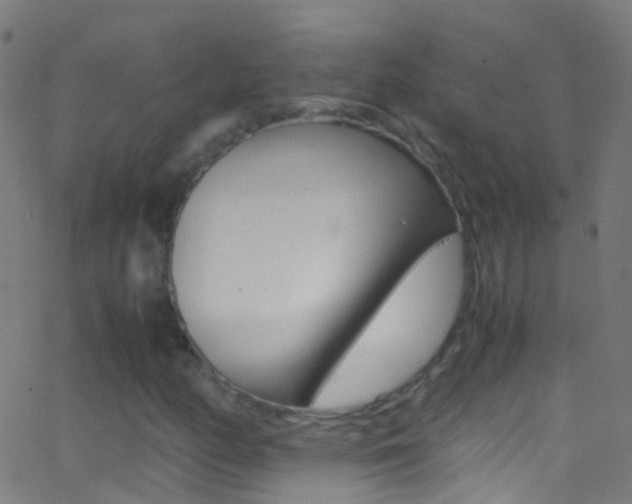X0000062881158200601131029