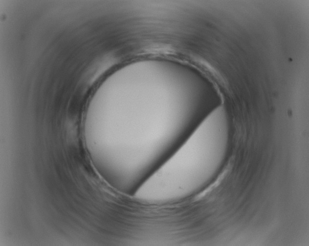 X0000062881162200601131029