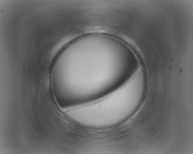X0000062881167200601131029