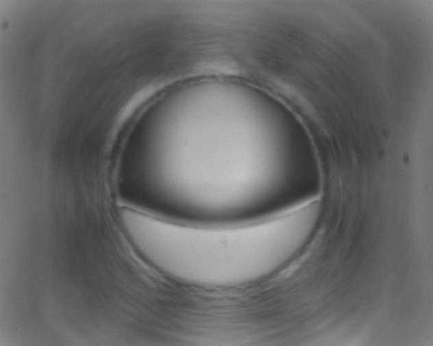 X0000062881168200601131029