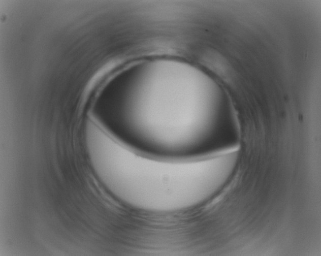 X0000062881172200601131029