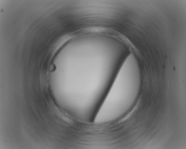 X0000062881178200601131029
