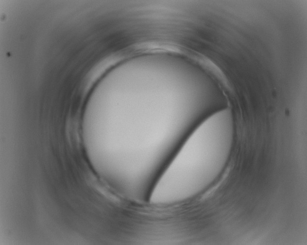 X0000062881182200601131029