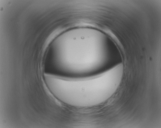X0000062881191200601131029