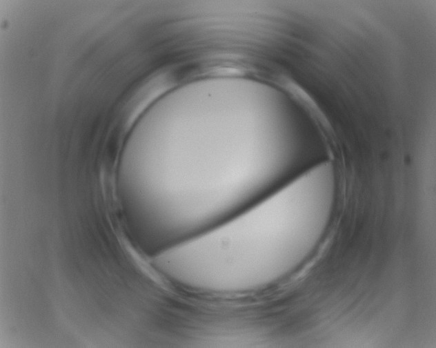 X0000062881194200601131029