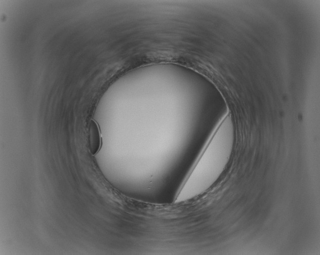 X0000062881201200601131028