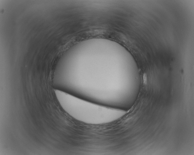 X0000062881203200601131028