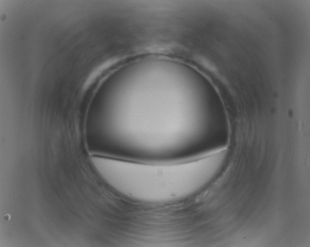X0000062881214200601131028