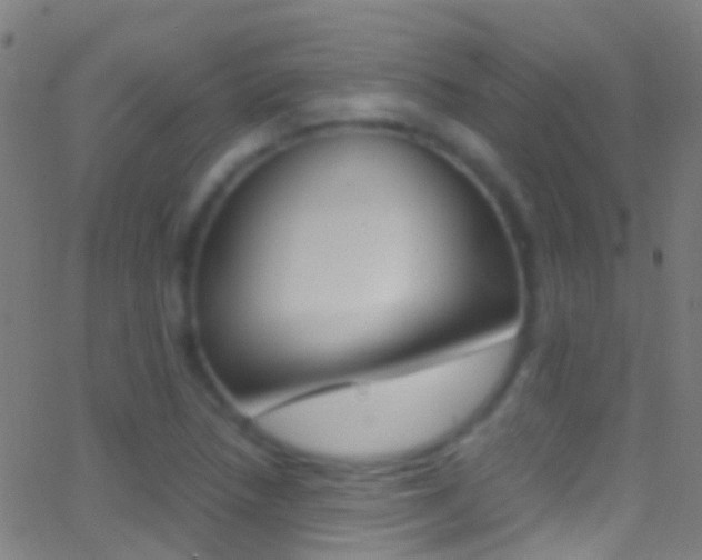 X0000062881218200601131028