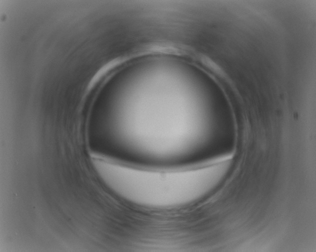 X0000062881222200601131028