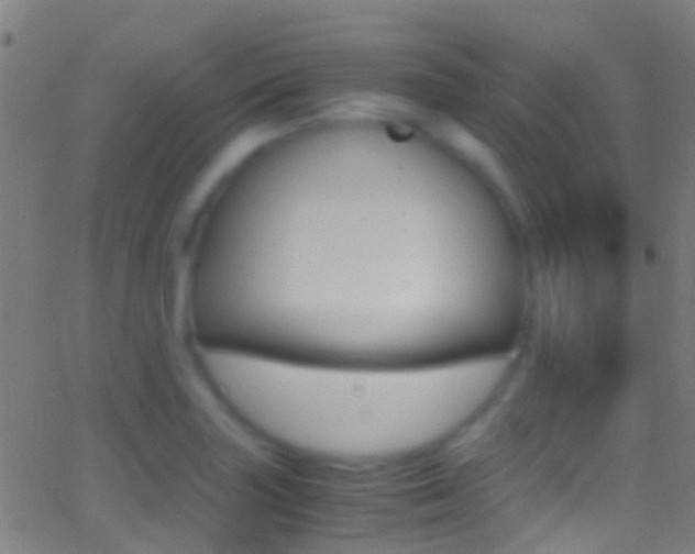 X0000062881227200601131028