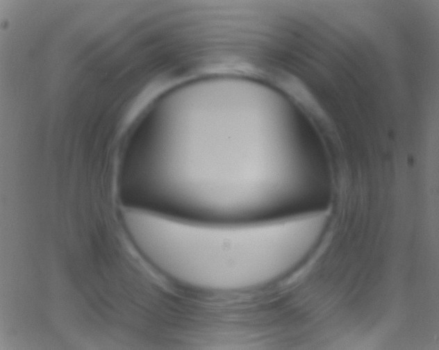 X0000062881228200601131028
