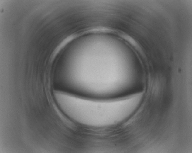 X0000062881229200601131028