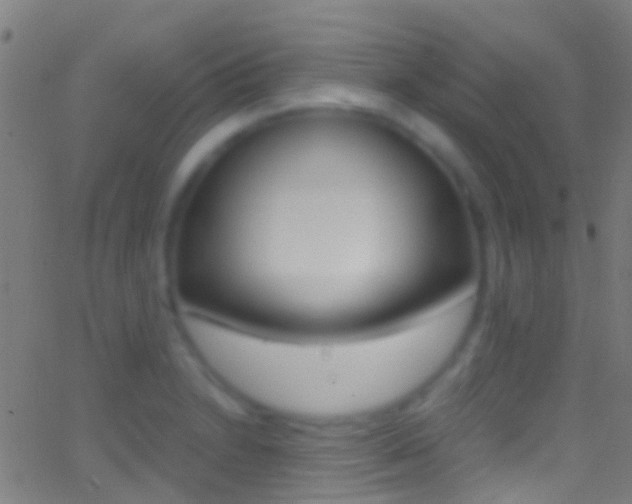 X0000062881230200601131028