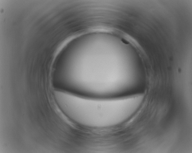 X0000062881236200601131028