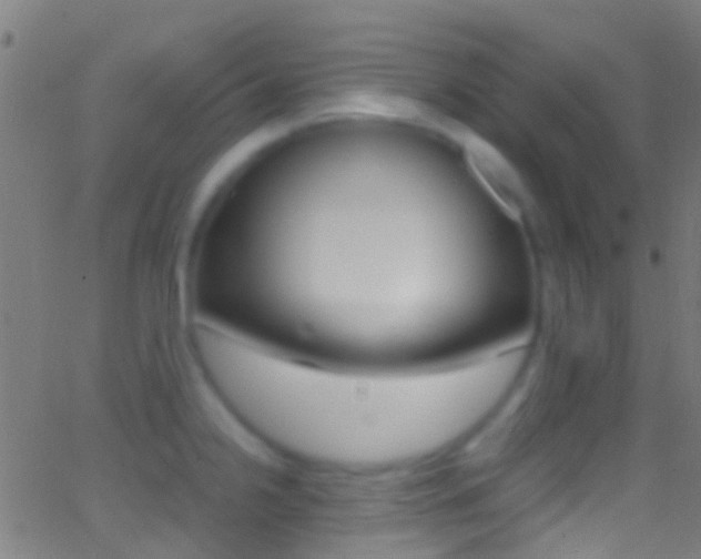 X0000062881238200601131028