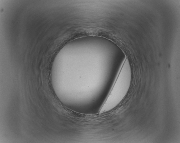 X0000062881249200601131028
