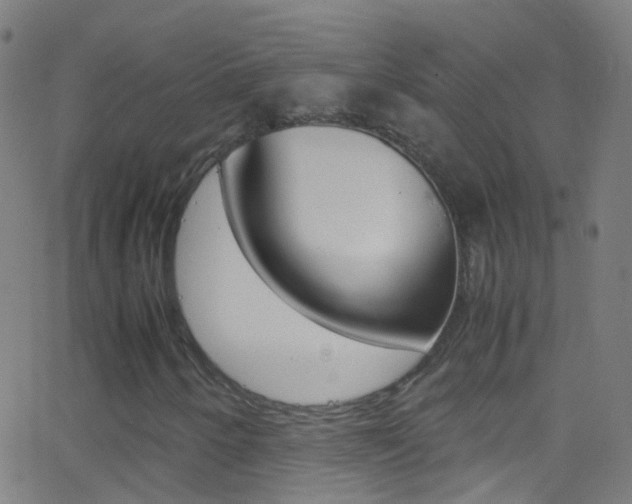 X0000062881250200601131028