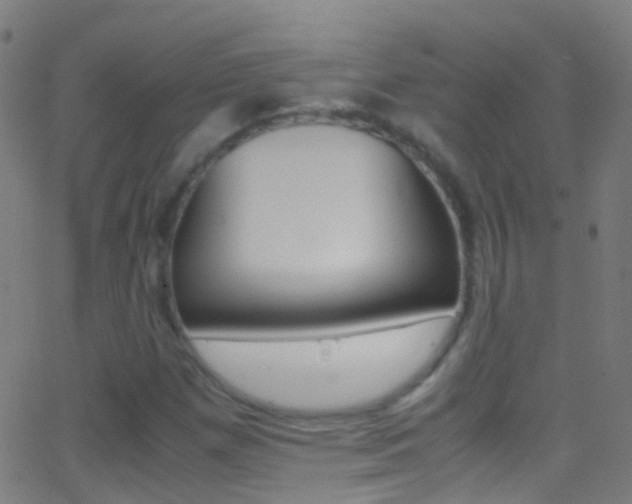 X0000062881257200601131028