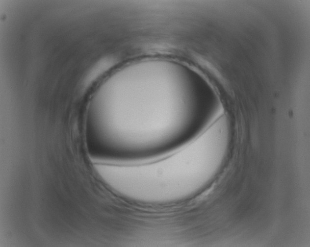 X0000062881261200601131027