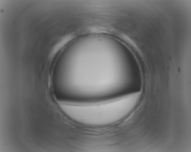 X0000062881269200601131027
