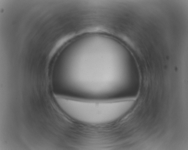 X0000062881270200601131027