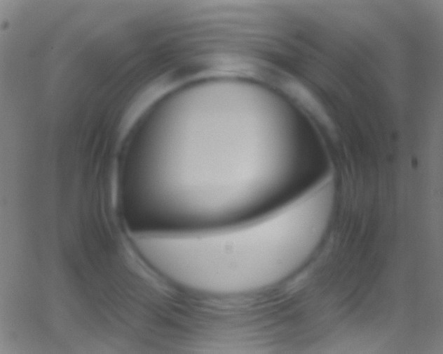 X0000062881276200601131027