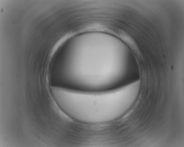 X0000062881288200601131027