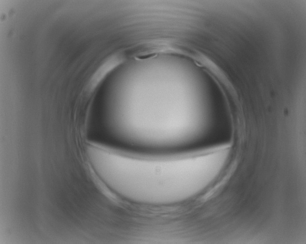 X0000062881289200601131027